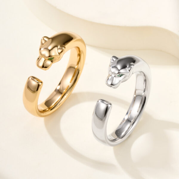 Parthere series of rings