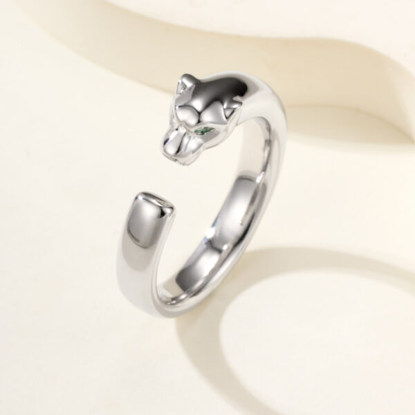 Parthere series of rings