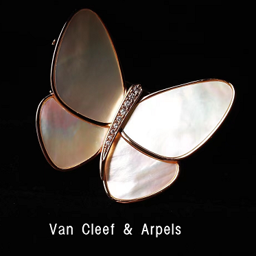 Large white mother-of-pearl butterfly brooch