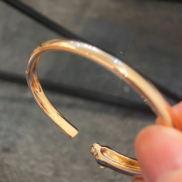 Leopard opens an elastic bracelet without a buckle.