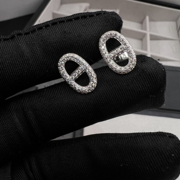 Full diamond earrings